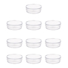 Petri Dish