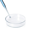 Petri Dish